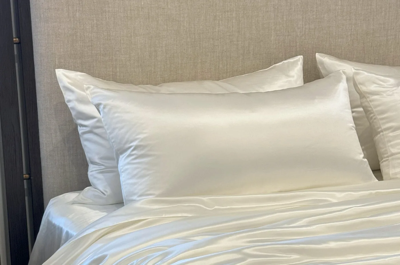 22-Momme Mulberry Silk Pillow Shams view 3
